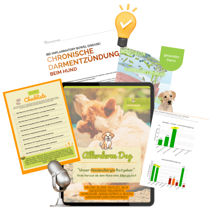 Collage mit Infomaterial zum kostenlosen Allerderm Dog Ratgeber