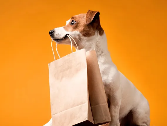 Hund trägt eine Shopping-Papiertüte im Maul