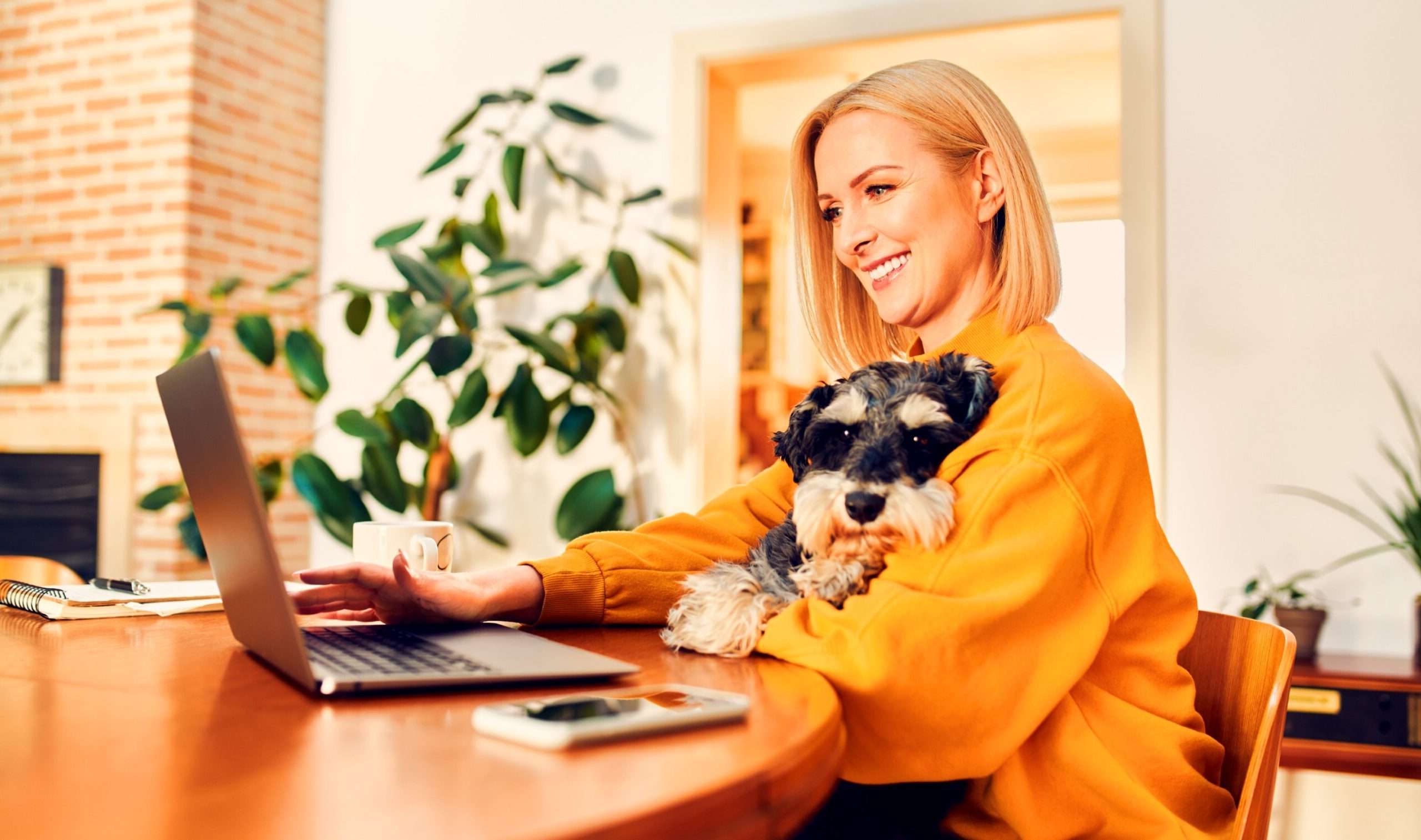 Frau sitzt vor ihrem Laptop und hat ihren kleinen Hund auf dem Schoß